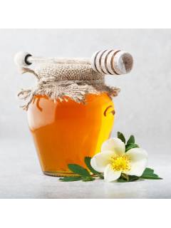 1 2 3 For Test - M1 - Seller Manasa