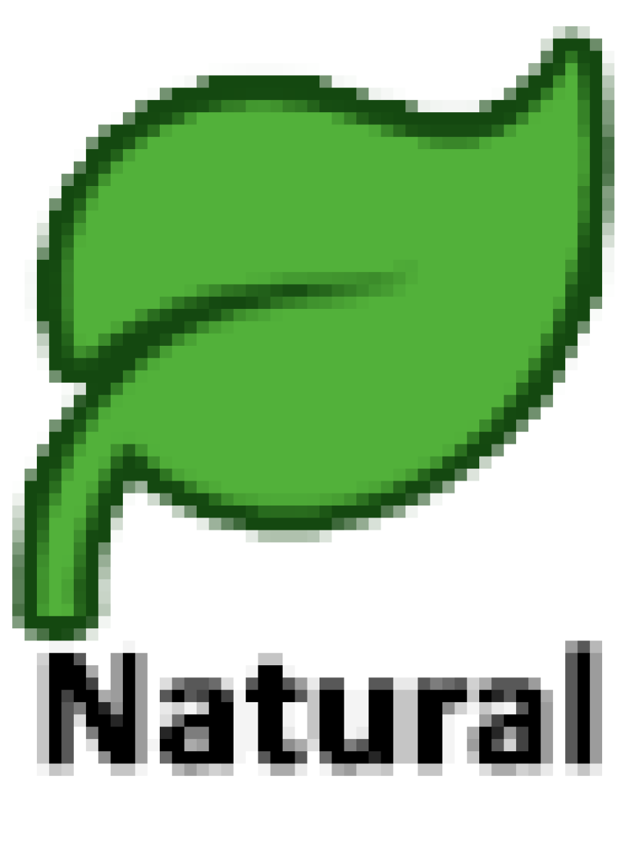 Orissa Coir Crafts - Handcrafted Deer Figurine - Set of 2 - Home Decor