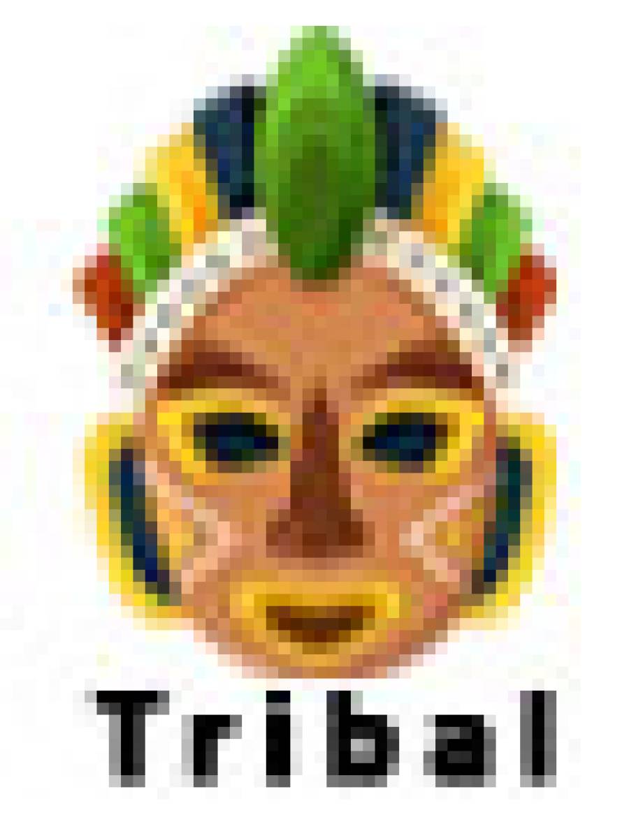 Orissa Coir Crafts - Handcrafted Tortoise Figurine - Set of 2 - Home Decor