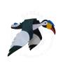 Wooden Bird - Hornbill - Garden/Outdoor Decor
