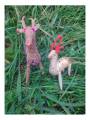 Orissa Coir Crafts - Handcrafted  Deer - Mother and Baby Figurine - Home Decor
