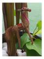 Orissa Coir Crafts - Handcrafted Horse Figurine - Home Decor
