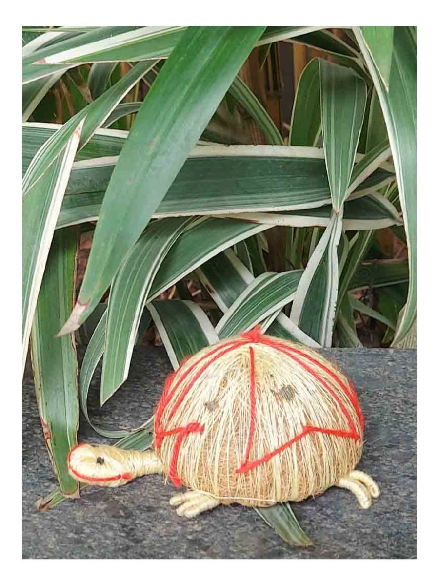 Orissa Coir Crafts - Handcrafted Tortoise Figurine - Set of 2 - Home Decor
Orissa Coir Crafts - Handcrafted Tortoise Figurine - Set of 2 - Home Decor