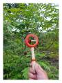 Rattle - Circle Ring Kit-Kiti