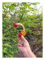 Rattle - Curvy with Rings