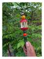 Rattle - Joker Bell - Jhunjuna