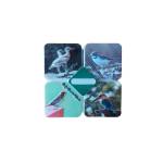 Fridge Magnet - Birds
