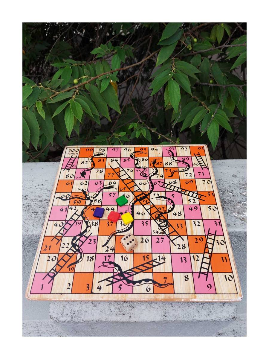 Game - Wooden Snake & Ladder and Ludo Game - Wooden Snake & Ladder and Ludo