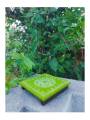 Festive - Peetam Chowki - 8x8 Inches - Single - Square - Green Color | Design - Rangoli