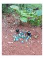 Pebbles ( Goli ) - Combo Pack -Traditional Games
Pebbles ( Goli ) - Combo Pack -Traditional Games
