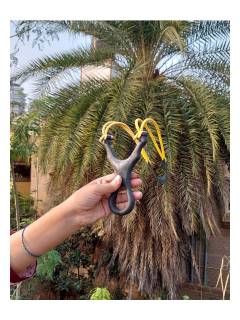 Game - Slingshot - Hulukoodu