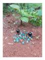 Game - Pebbles ( Goli )  - Combo Pack