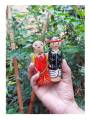 Couple - Diu Daman & Dadar Nagar Haveli
