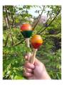 Rattle -  Egg Maraca Gilki- Combo