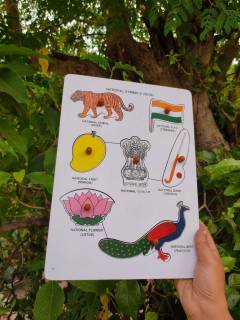 Kids - National Symbol Board