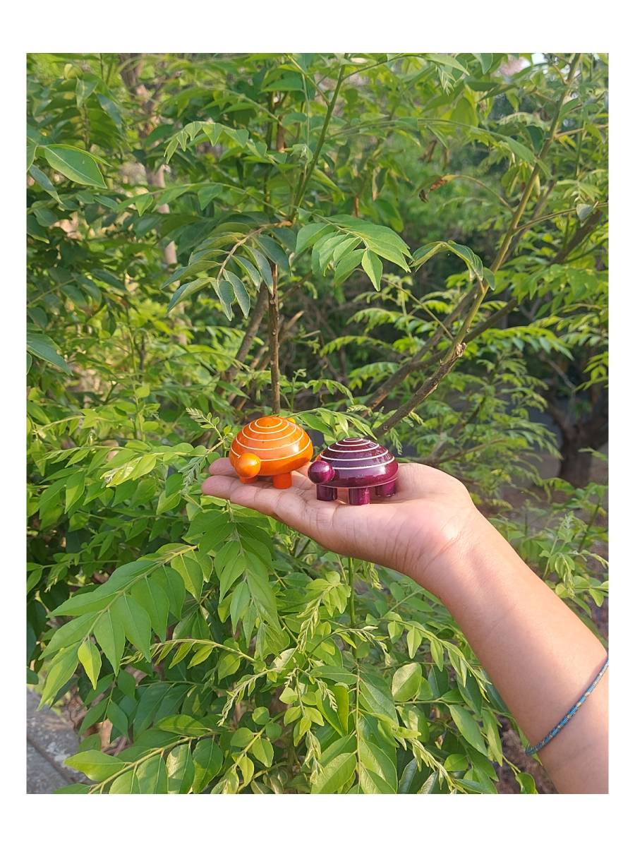 Festive - Wooden Tortoise Festive - Wooden Tortoise