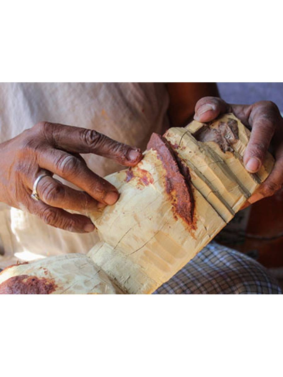 Kinnala Arts - Mini Nandi Face, Pair, Small-5" , White And Red - Geographical Index